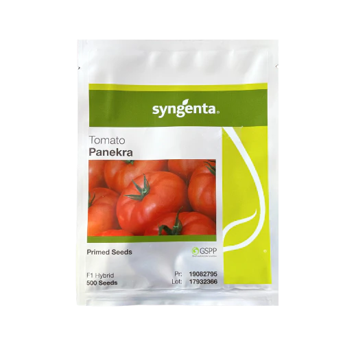 Seminţe și material săditor - Semințe de tomate Panekra F1
