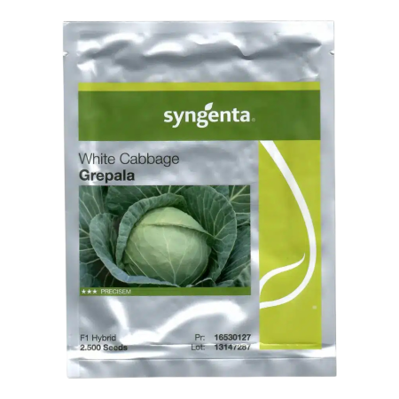 Varză - Semințe de varză albă Grepala F1
