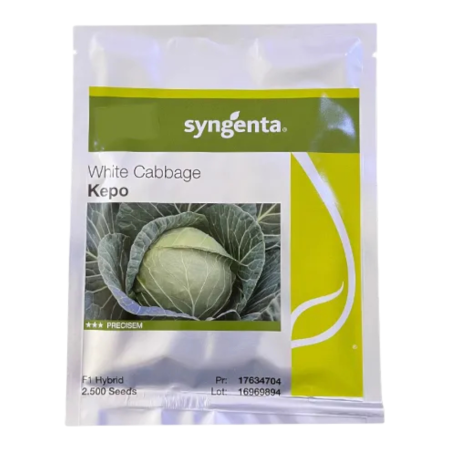 Varză - Semințe de varză albă Kepo F1
