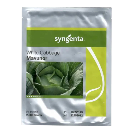 Varză - Semințe de varză albă Mavunor F1