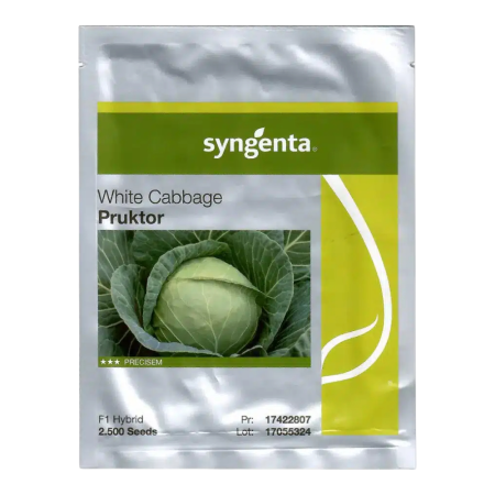 Varză - Semințe de varză albă Pruktor F1
