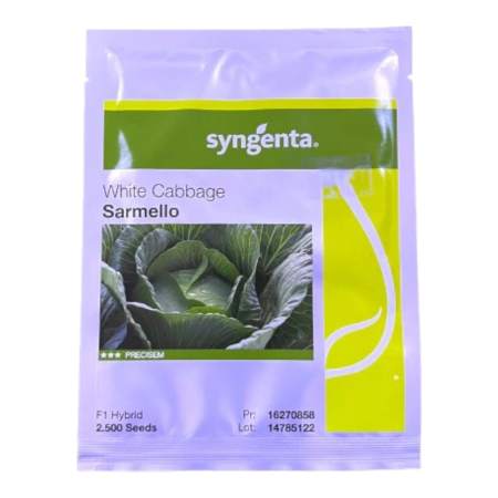 Varză - Semințe de varză albă Sarmello F1