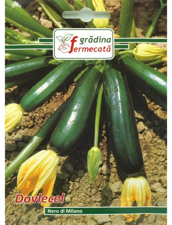 Semințe Hobby - Semințe dovlecel Nero di Milano, 3 gr