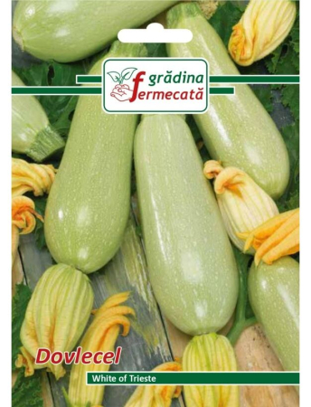 Seminţe și material săditor - Semințe dovlecel White of Trieste, 2 gr