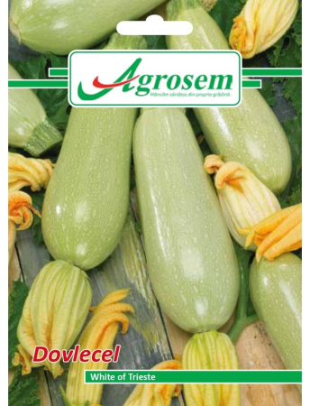 Semințe Hobby - Semințe dovlecel White of Trieste, 3 gr