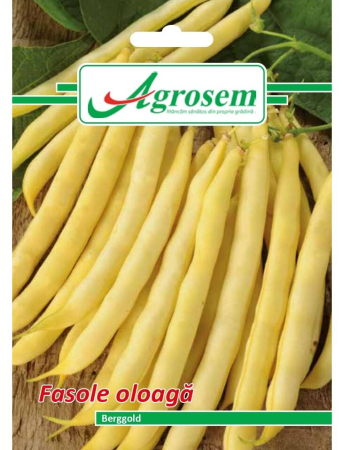 Semințe Hobby - Semințe fasole oloagă Berggold, 15 gr