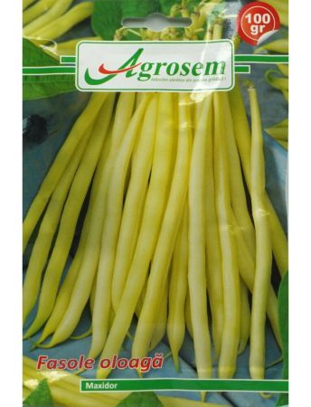 Fasole și mazăre - Semințe Fasole Oloagă Maxidor
