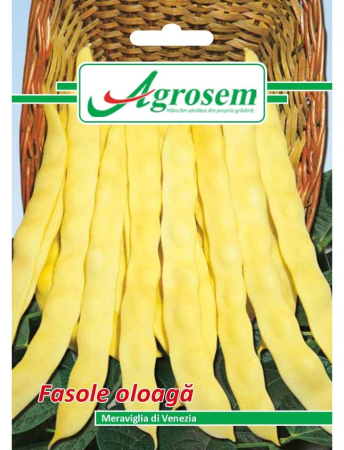 Semințe Hobby - Semințe fasole oloagă Meraviglia di Venezia, 15 gr