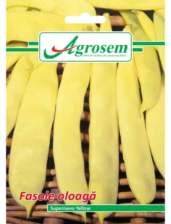 Seminţe și material săditor - Semințe fasole oloagă Supernano Yellow, 15 gr