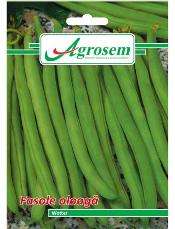Semințe hobby legume - Semințe fasole oloagă Wotter, 15 gr