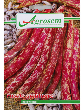 Seminţe și material săditor - Semințe fasole urcătoare Borlotto Red, 10 gr