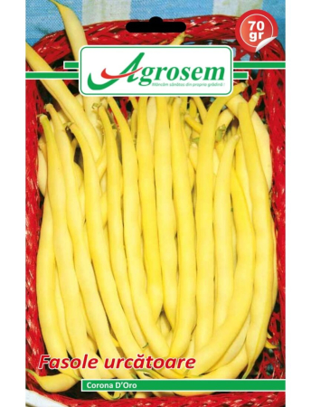 Fasole și mazăre - Semințe Fasole Urcătoare Corona D’Oro