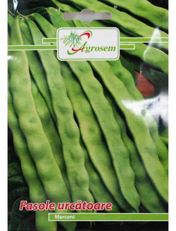 Seminţe și material săditor - Semințe fasole urcătoare Marconi, 10 gr
