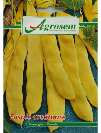 Semințe hobby legume - Semințe fasole urcătoare Meraviglia di Venezia, 15 gr