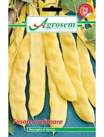 Fasole și mazăre - Semințe Fasole Urcătoare Meraviglia di Venezia