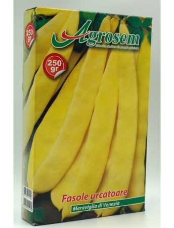 Fasole și mazăre - Semințe Fasole Urcătoare Meraviglia di Venezia
