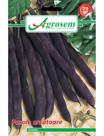 Fasole și mazăre - Semințe Fasole Urcătoare Violetto