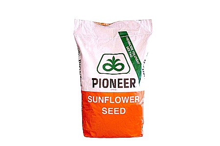 Seminţe și material săditor - Semințe floarea soarelui Pioneer P64LE99 + Express Pachet 5 ha