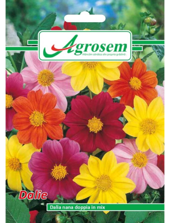 Semințe hobby flori - Semințe Flori Dalie Mix, 0.4 gr