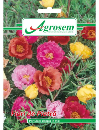 Semințe hobby flori - Semințe Flori de Piatră, 0.3 gr
