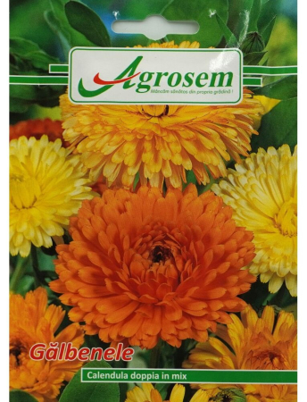 Semințe hobby flori - Semințe Fori Gălbenele Mix, 3 gr