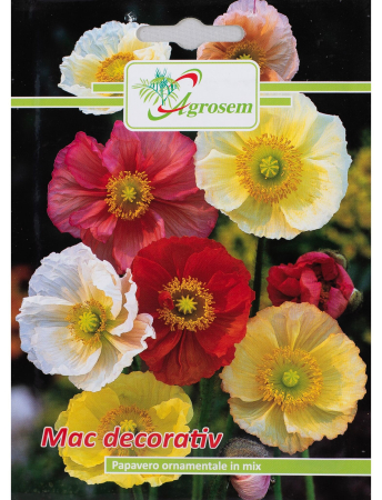 Semințe hobby flori - Semințe Fori Mac Decorativ, 1 gr