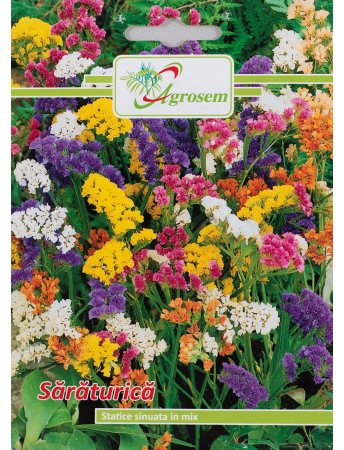 Semințe hobby flori - Semințe Fori Sărăturică, 0.2 gr
