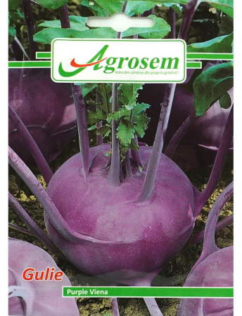 Semințe Hobby - Semințe gulie Purple Viena, 5 gr