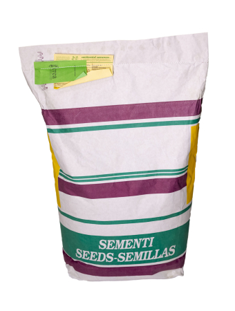 Seminţe și material săditor - Semințe Iarbă de Pășune