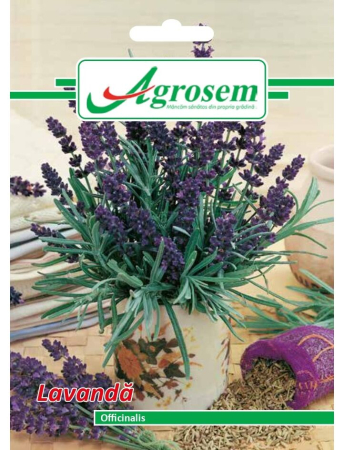 Semințe hobby plante aromatice - Semințe Lavandă, 0.3 gr