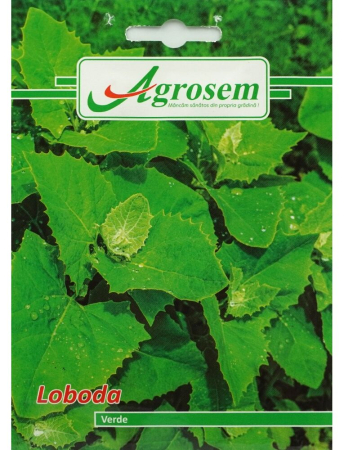 Seminţe și material săditor - Semințe lobodă Verde, 0.8 gr
