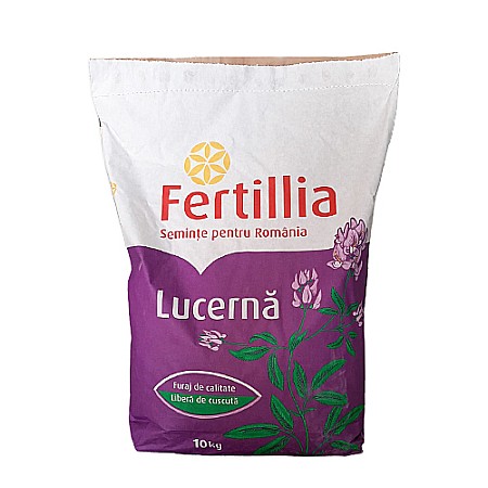 Semințe Lucernă - Semințe lucernă Letizia (Vanda)