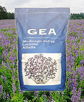 Seminţe și material săditor - Seminţe Lucernă Gea Drajata