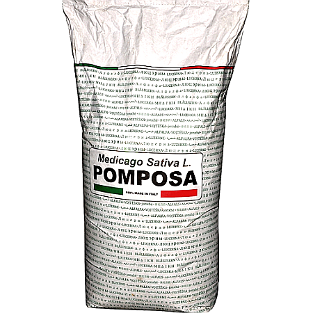 Plante furajere - Semințe lucernă Pomposa