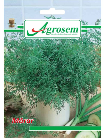 Semințe hobby plante aromatice - Semințe Mărar, 2 gr