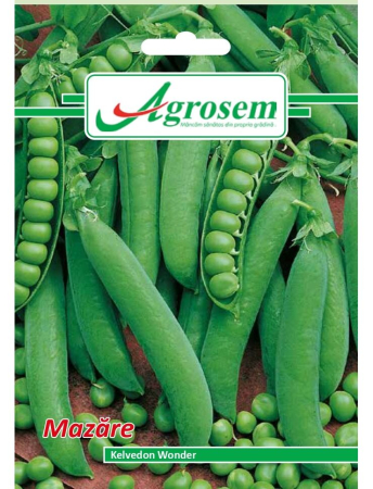 Semințe Hobby - Semințe mazăre Kelvedon Wonder, 20 gr