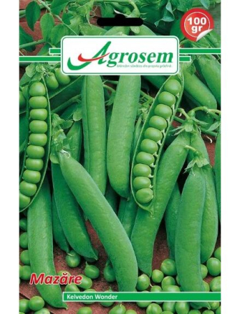 Fasole și mazăre - Semințe Mazăre Kelvedon Wonder