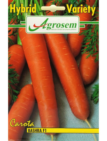 Rădăcinoase - Semințe Morcov Bashra F1