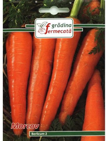 Seminţe și material săditor - Semințe morcov Berlicum 2, 3 gr