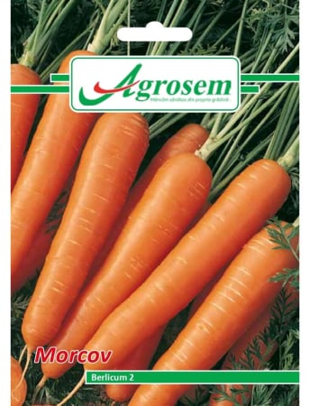 Semințe Hobby - Semințe morcov Berlicum, 5 gr