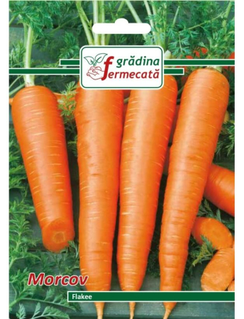 Semințe Hobby - Semințe morcov Flakee, 3 gr
