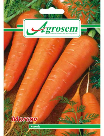 Semințe Hobby - Semințe morcov Kuroda, 5 gr