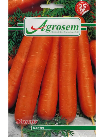Rădăcinoase - Semințe Morcov Nantes