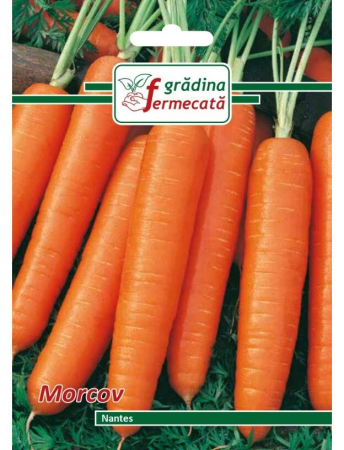 Seminţe și material săditor - Semințe morcov Nantes, 3 gr