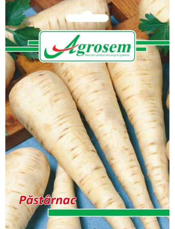 Semințe Hobby - Semințe păstârnac, 4 gr