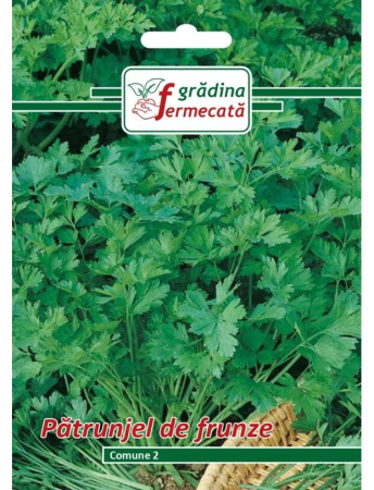 Semințe Hobby - Semințe pătrunjel de frunze Comune 2, 3 gr