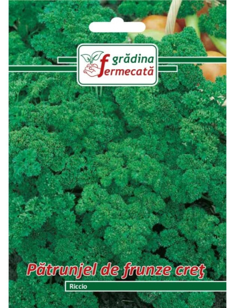 Semințe Hobby - Semințe pătrunjel de frunze creț Riccio, 3 gr