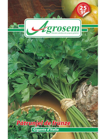 Rădăcinoase - Semințe Pătrunjel de Frunze Gigante d’Italia