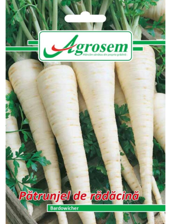 Seminţe și material săditor - Semințe pătrunjel de rădăcină Bardowicher, 5 gr