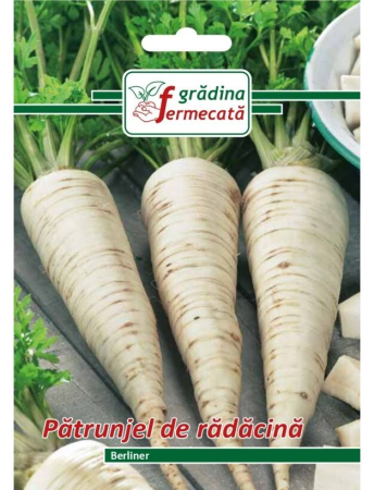 Semințe Hobby - Semințe pătrunjel de rădăcină Berliner, 3 gr